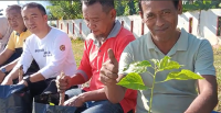 Bapenda Kabupaten Buol Gelar Gerakan Tanam Cabai Dukung Ketahanan Pangan dan Pengendalian Inflasi Daerah